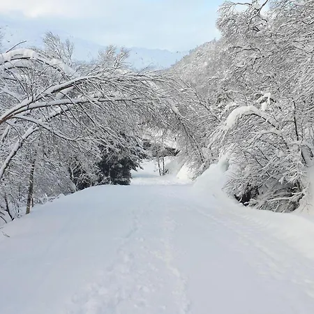 Cozy In With House Sea View بيت للعطل *